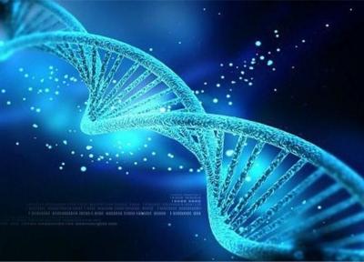 هشدار انجمن ژنتیک درباره خروج ژنوم انسانی از کشور