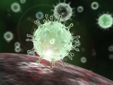کرونا ویروس جدید چگونه منتقل می گردد؟