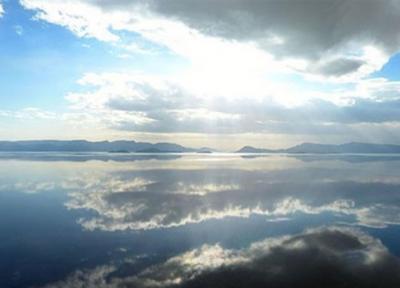 پرواز فلامینگوها بر فراز تالاب های به زندگی بازگشته فارس