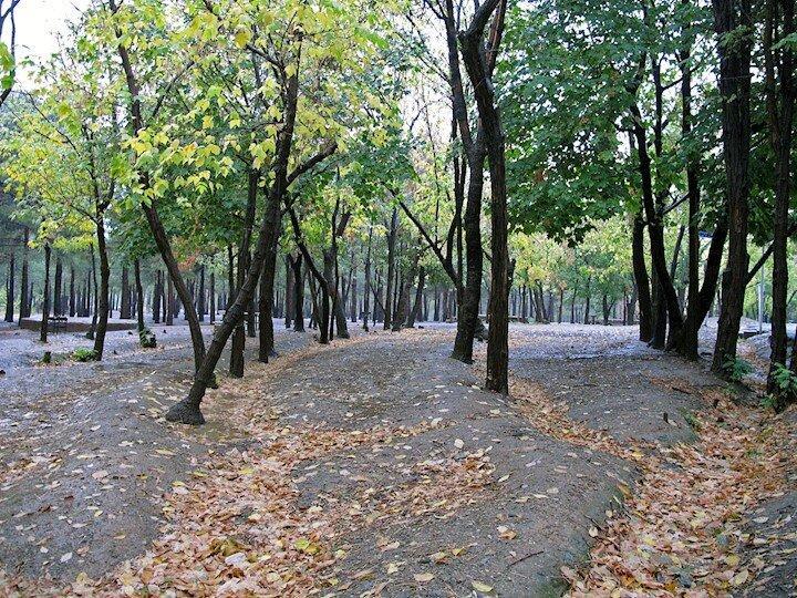 چرا درهای پارک چیتگر همچنان بسته است چرا درهای پارک چیتگر همچنان بسته است