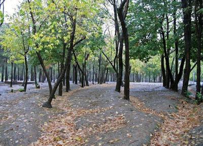 چرا درهای پارک چیتگر همچنان بسته است