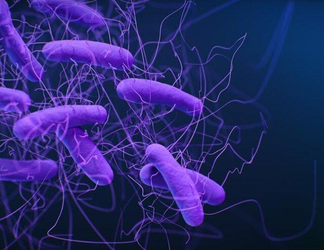 شناسایی باکتری های مقاوم در برابر دارو به یاری نرم افزار