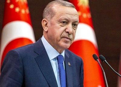 اردوغان: قصد نداریم برای همواره در سوریه بمانیم!