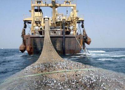 ممنوعیت 2 ساله صید ترال فانوس ماهیان