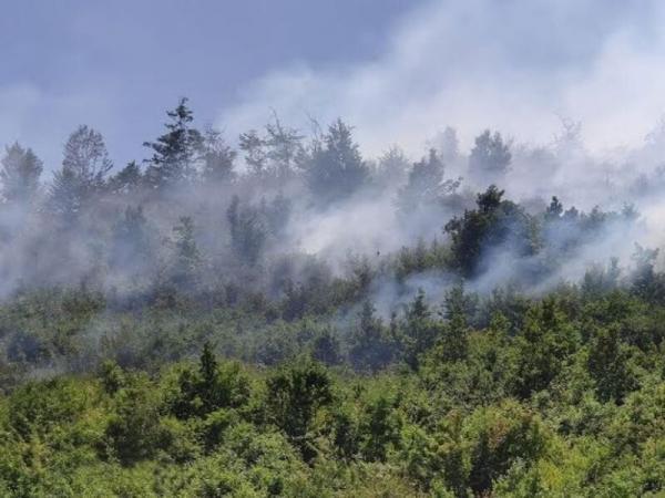 عملیات مهار حریق جنگل های هیرکانی در جمهوری آذربایجان ادامه دارد