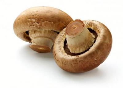 13 حقیقت شگفت انگیز درباره خواص قارچ خوراکی