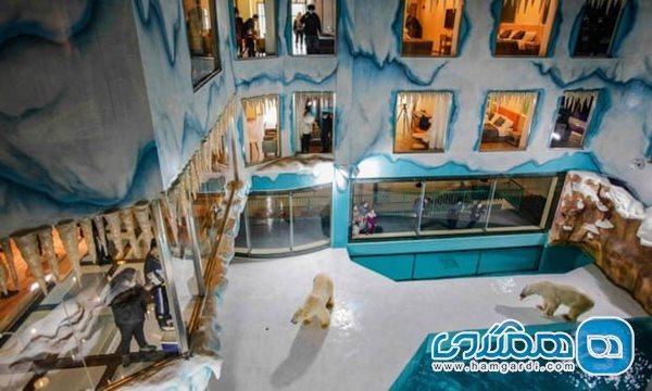 انتقاد به ساخت هتلی با چشم انداز خرس های قطبی
