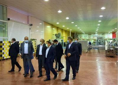 بازدید مدیران ارشد بانک ملی ایران از یک طرح صنعتی