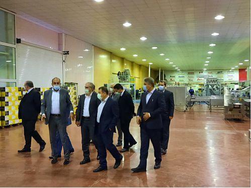 بازدید مدیران ارشد بانک ملی ایران از یک طرح صنعتی بازدید مدیران ارشد بانک ملی ایران از یک طرح صنعتی