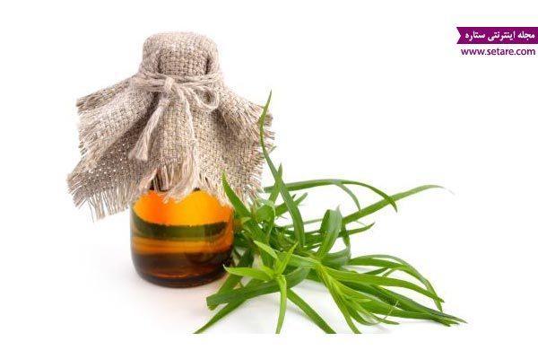 آشنایی با خواص روغن ترخون طریقه مصرف روغن ترخون آشنایی با خواص روغن ترخون