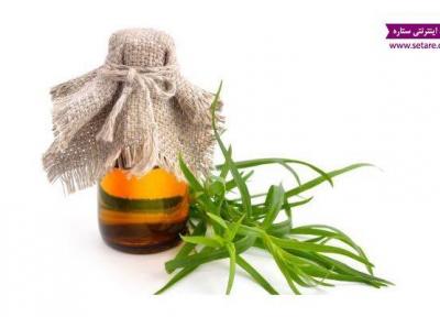 آشنایی با خواص روغن ترخون