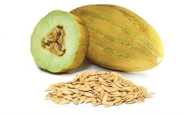 از بین بردن سنگ کلیه با خربزه از بین بردن سنگ کلیه با خربزه