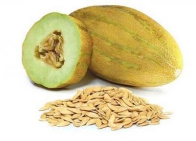 از بین بردن سنگ کلیه با خربزه