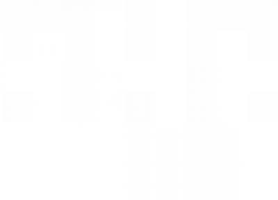 عجیب ترین پرواز دنیا