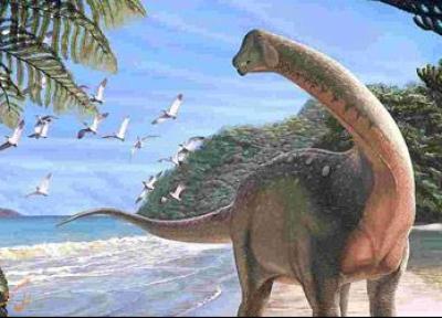 تور افریقای جنوبی: کشف اتفاقی گورستان دایناسورها در آفریقای جنوبی!