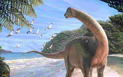 تور افریقای جنوبی: کشف اتفاقی گورستان دایناسورها در آفریقای جنوبی!