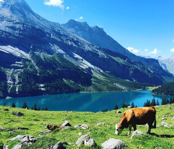 5 شگفتی طبیعی در سوئیس