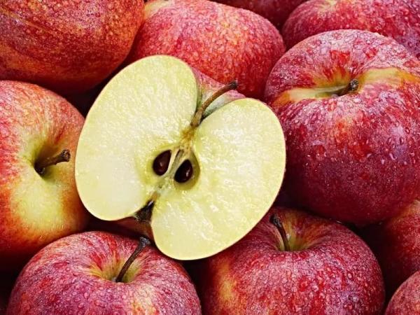 18 خواص هسته سیب ، خوردن هسته سیب باعث مرگ می گردد؟
