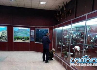 موزه ها مکانی برای پایداری و بهتر زیستن هستند