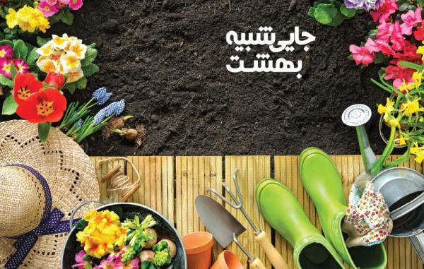راهنمای خرید لوازم باغبانی (برای آن هایی که محیط زیست را راهنمای خرید لوازم باغبانی (برای آن هایی که محیط زیست را دوست دارند)