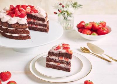 طرز تهیه کیک عریان؛ ترکیبی از سادگی و زیبایی در یک کیک شیک