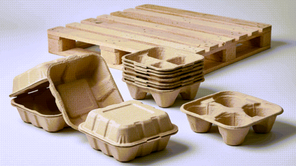 فراوری و چاپ بسته بندی های پالپی قالب گیری شده (راهنمای خرید 0 تا 100)